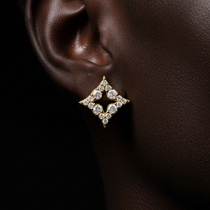 S925 Moissanite Compass Star Stud Earrings - Different Drips