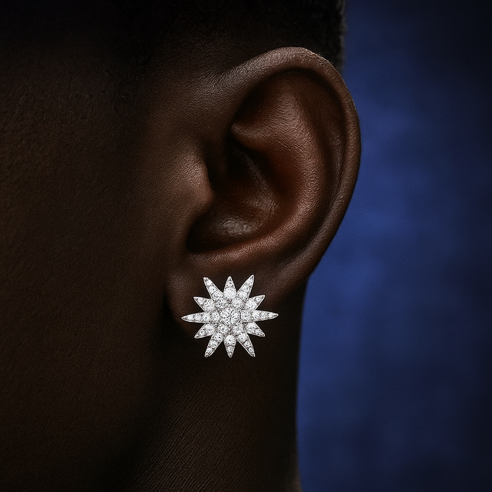 S925 Moissanite Twelve Pointed Star Earrings - Different Drips