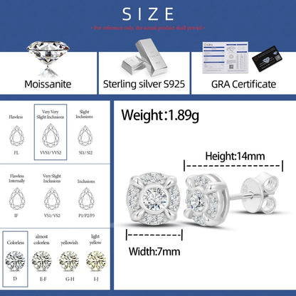 S925 Moissanite Dragon Claw Stud Earrings - Different Drips