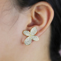 Thumbnail for S925 Women's Leaf Earrings - Different Drips