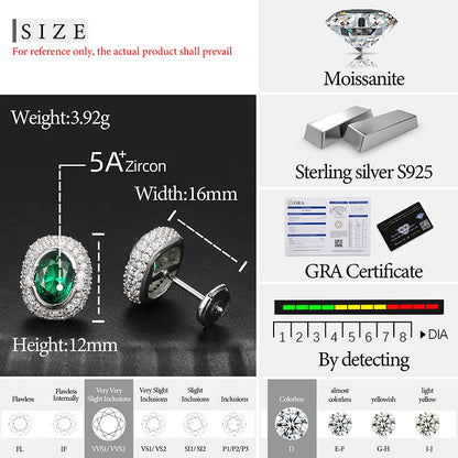 S925 Moissanite Diamond Gem Earrings - Different Drips