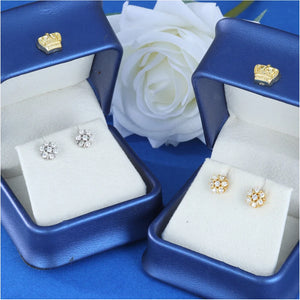 S925 Moissanite Diamond Snow Stud Earrings - Different Drips