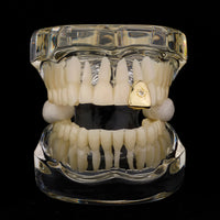 Thumbnail for Five Star Single Tooth Grillz - Different Drips