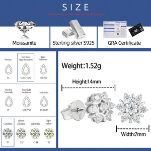 S925 Moissanite Diamond Snow Stud Earrings - Different Drips