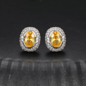 S925 Moissanite Diamond Gem Earrings - Different Drips