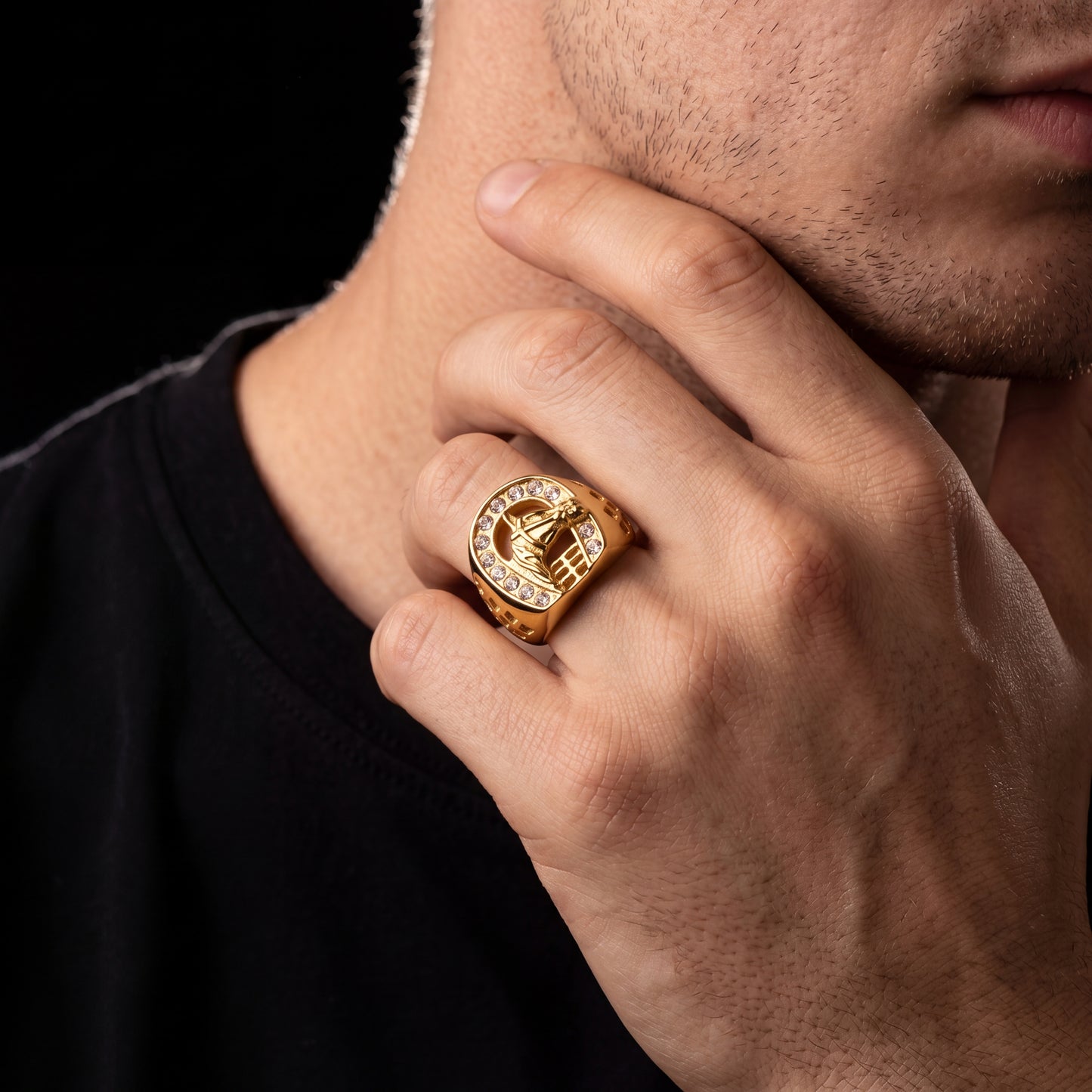 Horse Head Signet Ring - Different Drips
