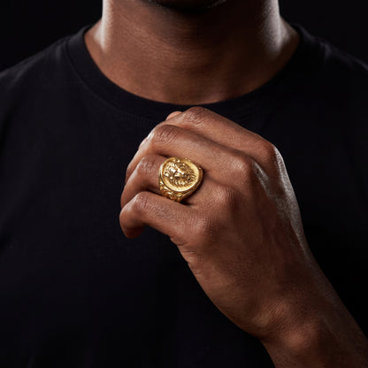 Gold Lion Head Signet Ring - Different Drips