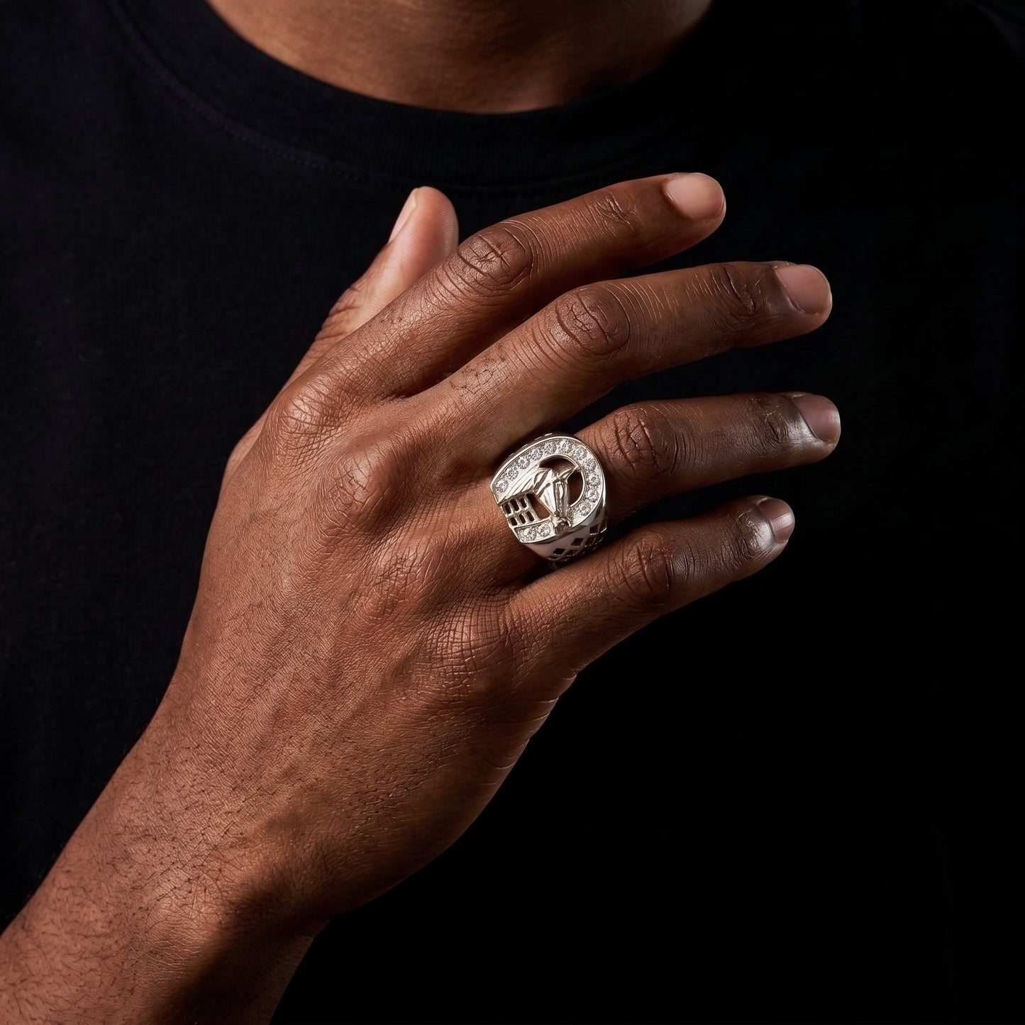 Horse Head Signet Ring - Different Drips